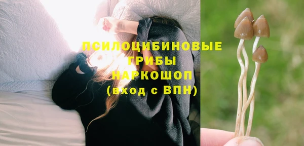 ALPHA PVP Арсеньев