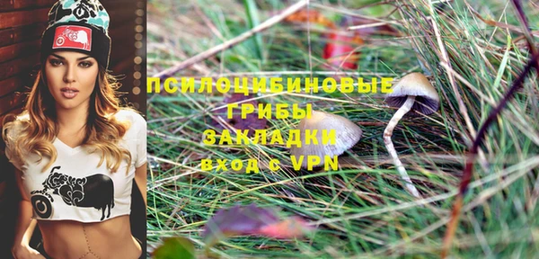 винт Армянск