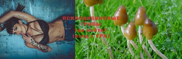 винт Армянск