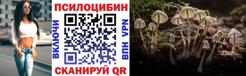 Псилоцибиновые грибы GOLDEN TEACHER Аша